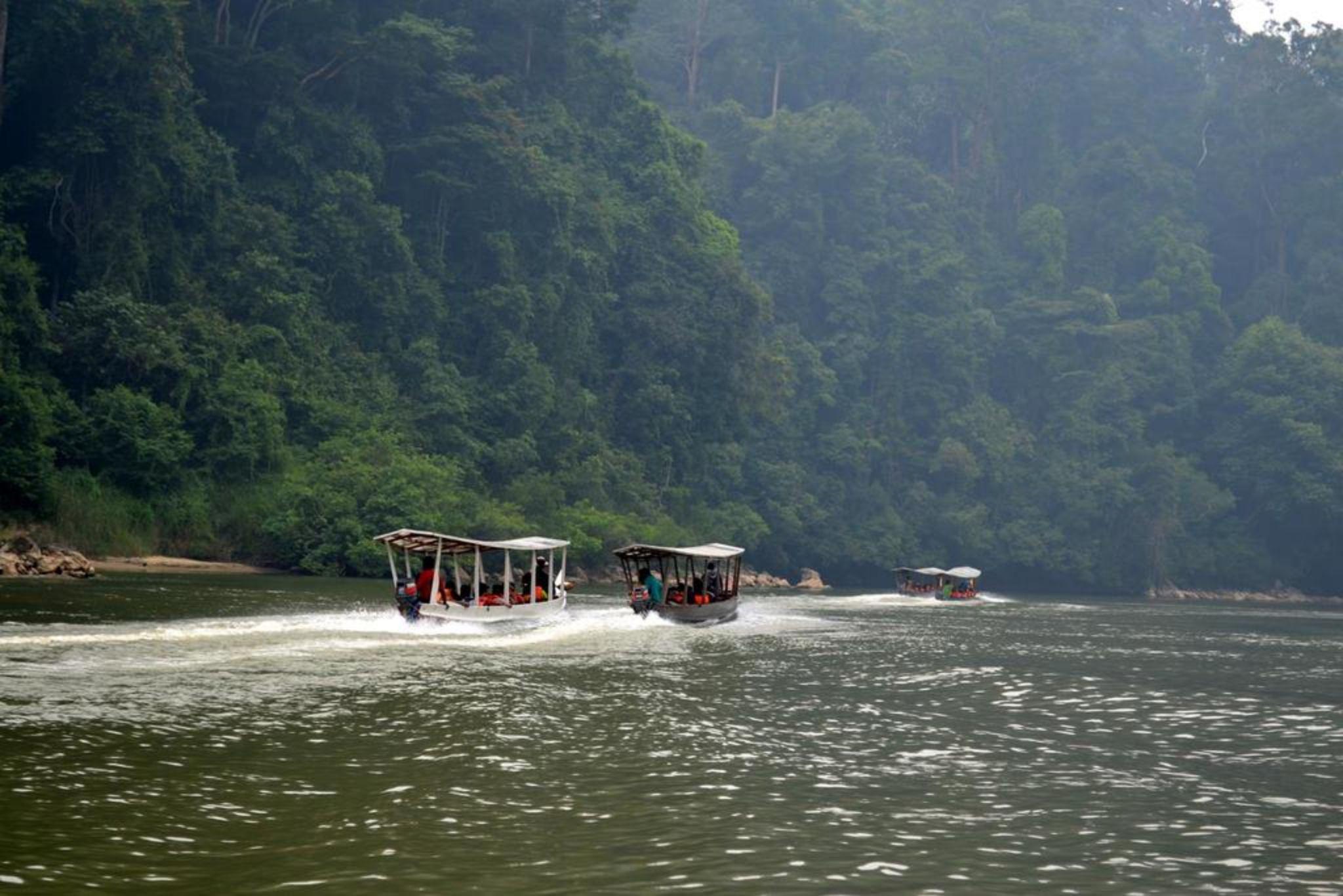 Mutiara Taman Negara Hotel Kuala Tahan Kültér fotó