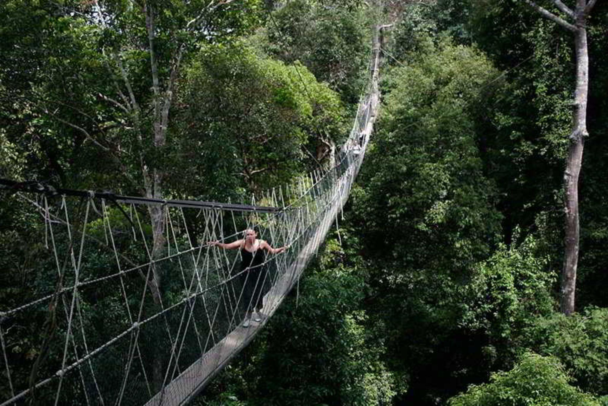 Mutiara Taman Negara Hotel Kuala Tahan Kültér fotó