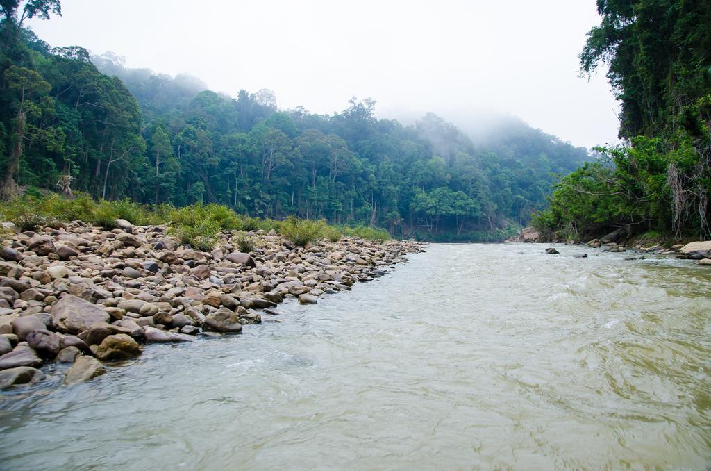 Mutiara Taman Negara Hotel Kuala Tahan Kültér fotó