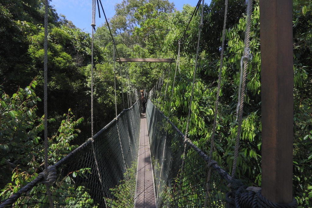 Mutiara Taman Negara Hotel Kuala Tahan Kültér fotó