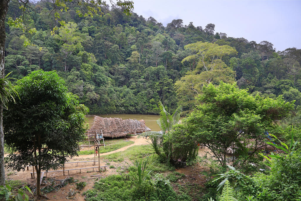 Mutiara Taman Negara Hotel Kuala Tahan Kültér fotó