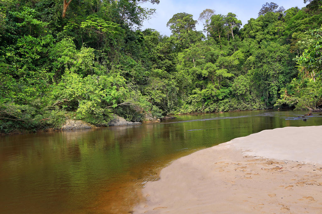 Mutiara Taman Negara Hotel Kuala Tahan Kültér fotó